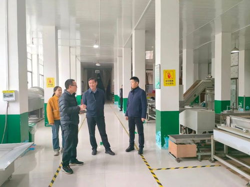 安康市農技中心赴鎮坪開展春茶生產指導服務及信息技術咨詢